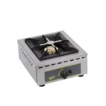 Professional gas stove